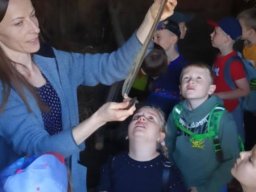 50242297611689798150299658465669436979034296n